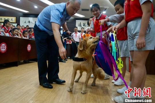 海关缉毒犬正在进行搜毒表演。关悦 摄