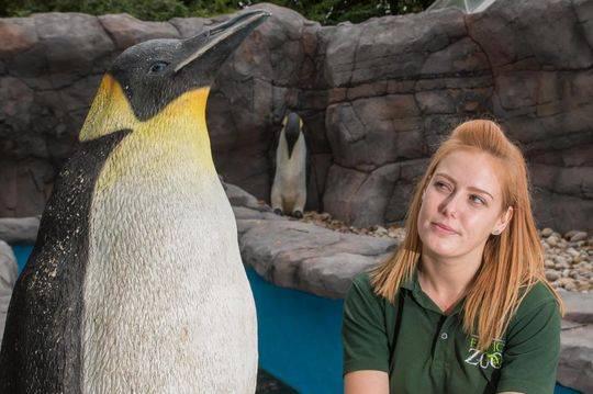 图为28岁的管理员艾玛·霍顿(Emma Horton)与其中一只替身塑料企鹅合影。