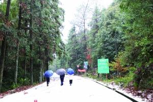 南岭国家森林公园内，天空飘着雪，三人并排走过。