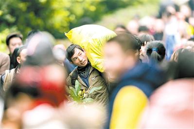 一手拿盆栽，一肩扛“年货”，准备回家去。广州日报全媒体记者陈忧子 摄