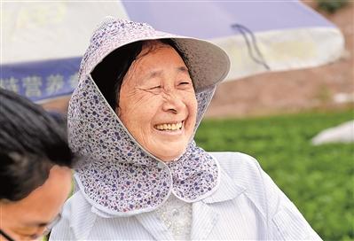 看到越来越多市民帮忙摘菜，杨阿姨感到很欣慰。