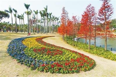 海滨公园春节花展已基本搭设完毕,静待游客到来。