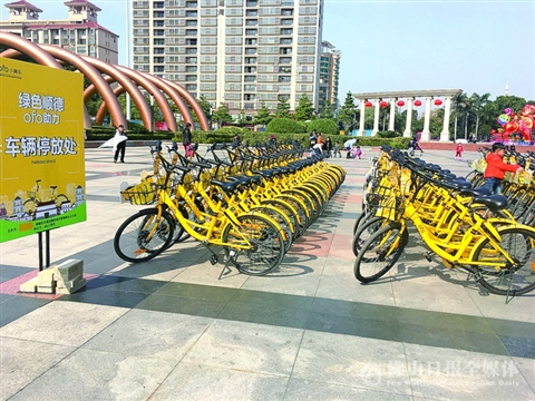 新投放的小黄车整齐地停在乐从文化公园车辆停放点。