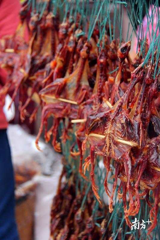 广州国际美食节(从化分会场)开幕