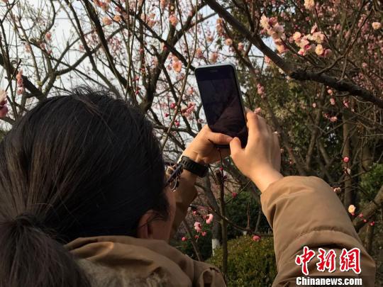 游客在拍照 刘鸿鹤 摄