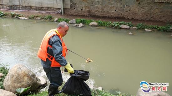广州市河涌保洁员在清理垃圾。邹锦华摄