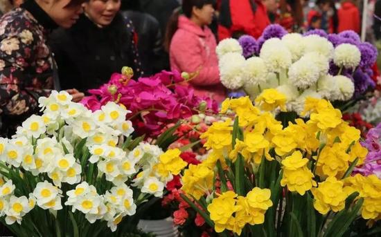 花市游玩攻略,昆明斗南花市游玩攻略