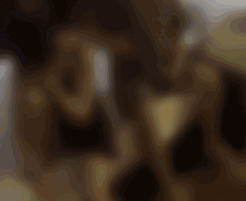 6d831f32e061e868fcf213c1ca06b94e.gif 查处现场。(此图片经过警方强大的技术处理)