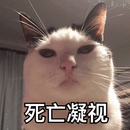 原来,是一个看起来有六十多岁的大爷