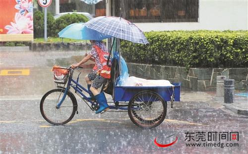 受台风影响，我市日前普降大雨到暴雨，市民在雨中艰难前行 资料图 程永强 摄