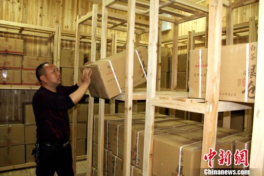 图为盘点“银仓”内的白茶。 吴苏梅 摄