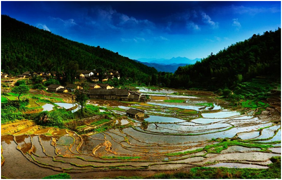 蛇离梯田美景