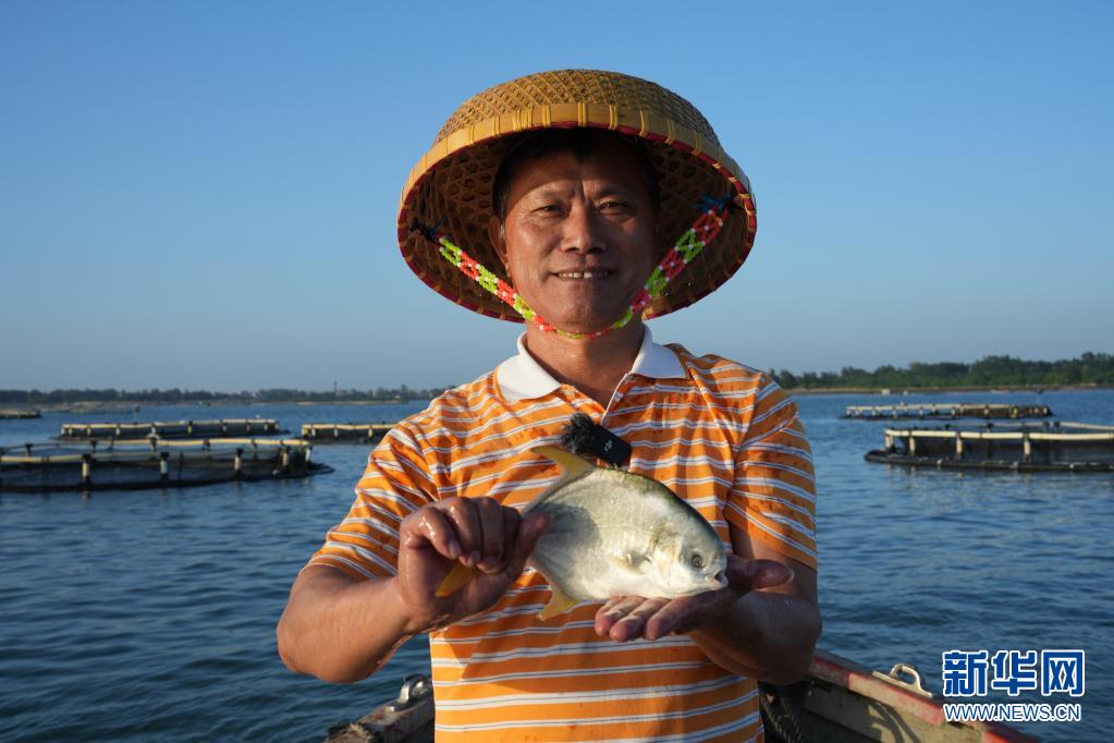 广东湛江“黄金鱼”的丰收季