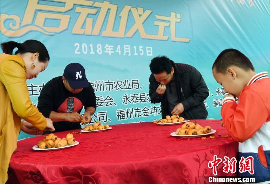 吃枇杷比赛”趣味游戏吸引民众参与。　记者刘可耕 摄