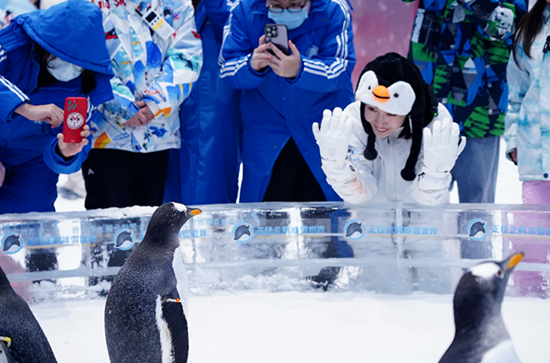 正佳企鹅冰雪世界推出大湾区唯一的真企鹅见面会。