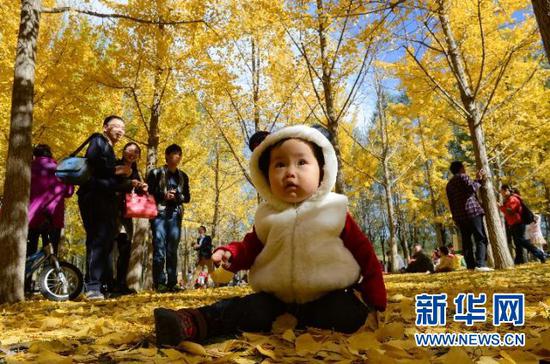 人们在奥林匹克森林公园玩乐