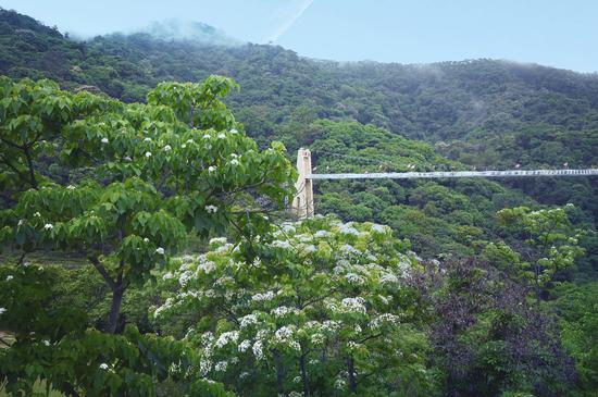 二龙山花园