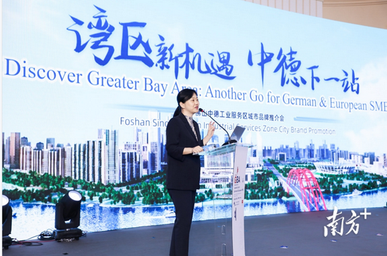 中德工业服务区(三龙湾)管委会主任刘怡推介三龙湾