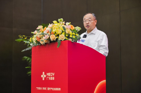 中创集团董事长舒元