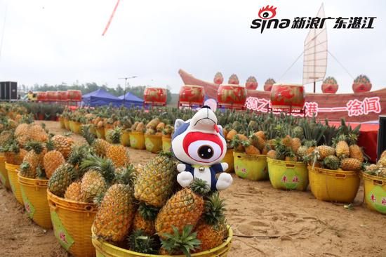菠萝文化旅游节上展示的丰收成果