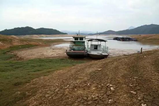 5月31日下午，位于饶平县汤溪镇的汤溪水库水位严重下降，船搁浅在淤泥中。