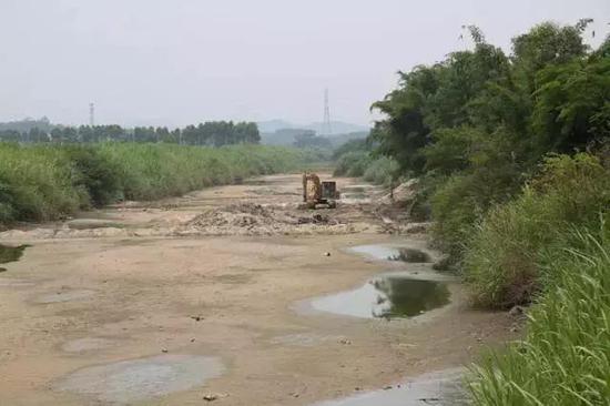 图为5月31日饶平县联饶镇的联饶溪，该溪多处断流，河床裸露。一台挖掘机在河床上挖掘寻找可取水的地点。