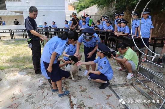 参观警犬基地,观看警犬训练。