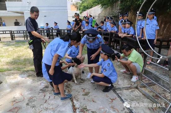 参观警犬基地，观看警犬训练。