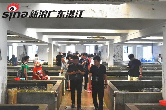 中国海鲜委考察团到湛江硇洲岛考察海捕产品