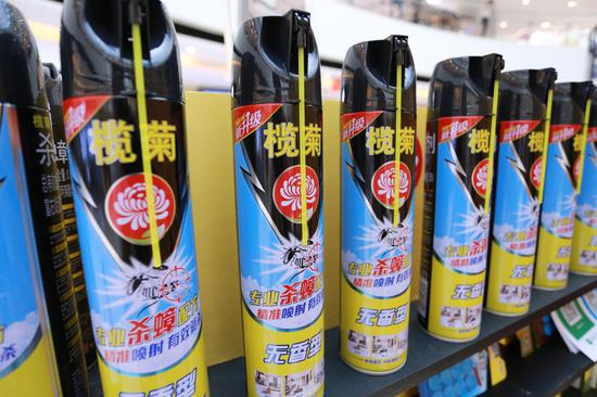 现场摆放的榄菊灭蟑产品( 新浪广东 林泽君/摄)