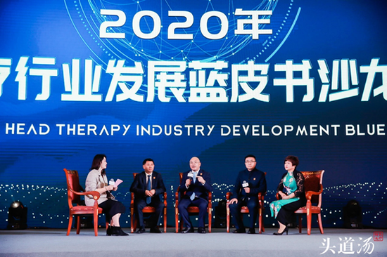 蓝皮书沙龙访谈