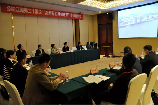 专家座谈会