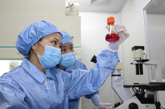 技术人员精心培育的细胞系,其内的活性细胞要定期传代培养,3至4天要传代一次。黄晓龙 摄