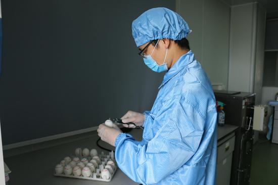 鸡胚经过培育后,技术人员将蛋壳开孔,便于注入流感病毒标本。黄晓龙 摄