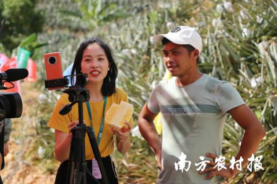 直播带货成为惠来凤梨山下的一道亮丽风景线。