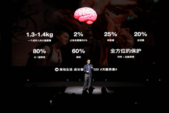 深湾创高技术有限公司创业合伙Nathan从大脑发育讲解天赋