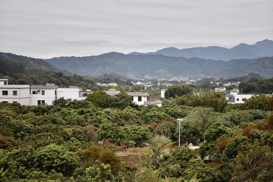 南平静修小镇全貌