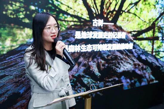 图9:凯森控股集团策划总监、森林外交官孙宇佳介绍古树保护联盟的核心内容