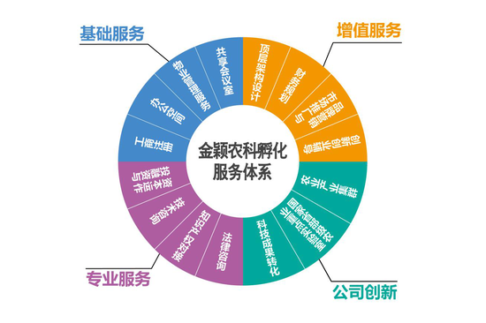 金颖农科孵化器服务体系