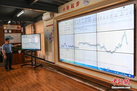 图为3月11日,中国菠萝电商产地直供基地作人员向中新社记者展示徐闻菠萝大数据系统。 中新社记者 陈骥旻 摄