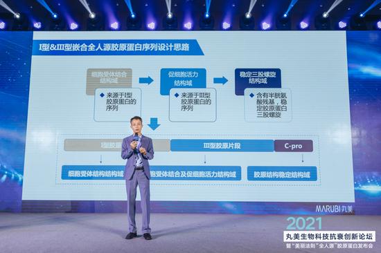 熊博演讲现场-“I型&;III型嵌合全人源胶原蛋白序列设计思路”
