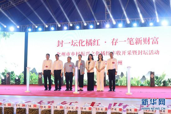 化橘红丰收开采启动仪式。新华网发(黄泽胤 摄)