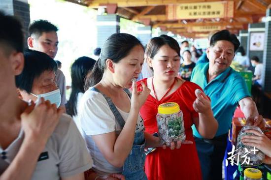 各地区游客在活动现场品尝客家美食。受访者供图