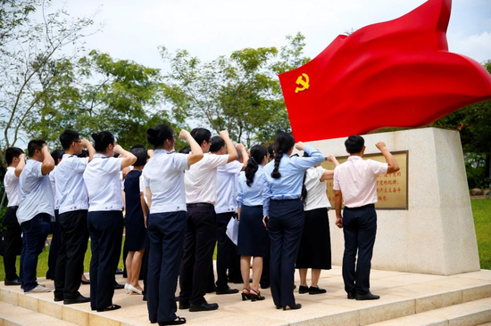 《重温入党誓词 牢记初心使命》作者:湛江市税务局