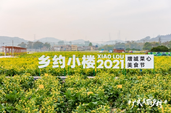 增城迟菜心省级现代农业产业园