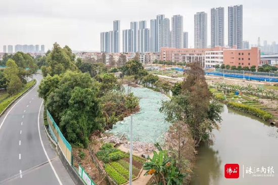 完成清拆后的石排涌,河岸美景值得期待