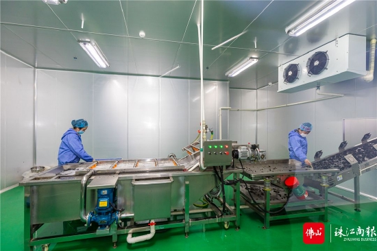 剑河县东西部协作现代农业产业园(食用菌深加工厂)工作人员正在超微粉SC食品生产净化车间内工作。