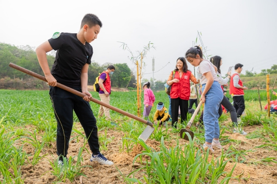长隆发起“我为熊猫种棵竹”植树节公益活动 助力熊猫家园建设