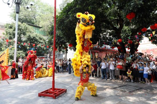 黄埔区长洲街道举办第十二届“金花诞”民俗文化活动,醒狮表演等精彩民俗项目轮番上演。郑嘉俊 摄