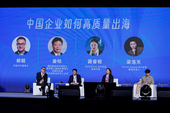 圆桌论坛：中国企业如何高质量出海